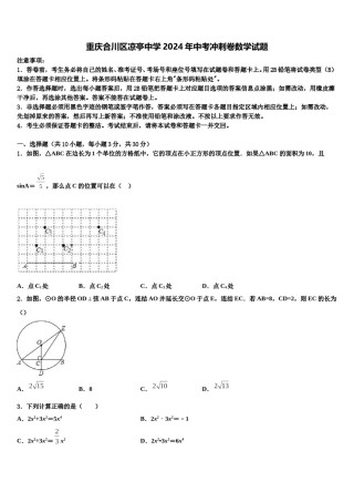 重庆合川区凉亭中学2024年中考冲刺卷数学试题含解析.doc