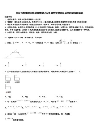 重庆市九龙坡区杨家坪中学2024届中考数学最后冲刺浓缩精华卷含解析.doc