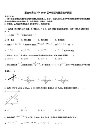 重庆市实验中学2024届十校联考最后数学试题含解析.doc