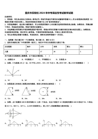 重庆市实验校2024年中考适应性考试数学试题含解析.doc