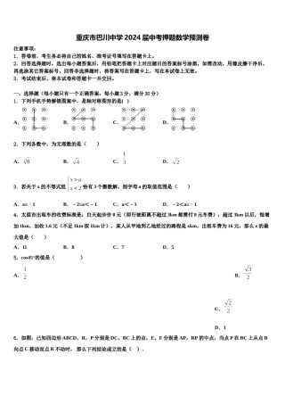 重庆市巴川中学2024届中考押题数学预测卷含解析.doc