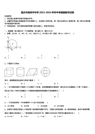重庆市杨家坪中学2023-2024学年中考猜题数学试卷含解析.doc
