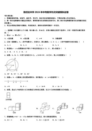 陈经纶中学2024年中考数学对点突破模拟试卷含解析.doc
