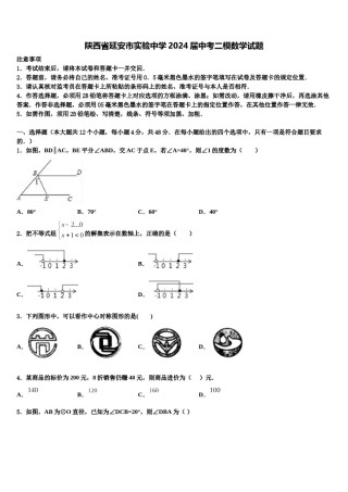 陕西省延安市实验中学2024届中考二模数学试题含解析.doc