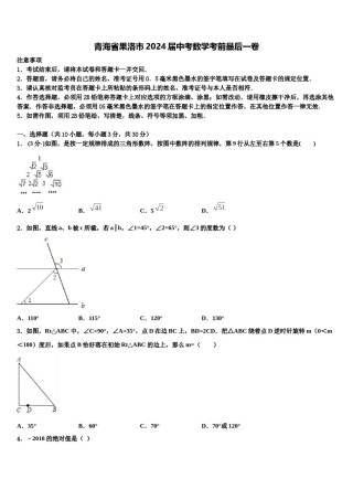 青海省果洛市2024届中考数学考前最后一卷含解析.doc