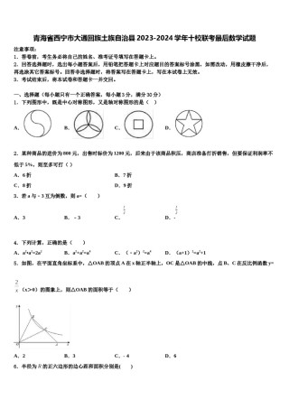 青海省西宁市大通回族土族自治县2023-2024学年十校联考最后数学试题含解析.doc