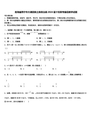 青海省西宁市大通回族土族自治县2024届十校联考最后数学试题含解析.doc