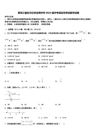 黑龙江省东方红林业局中学2024届中考适应性考试数学试题含解析.doc