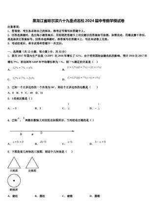 黑龙江省哈尔滨六十九重点名校2024届中考数学模试卷含解析.doc