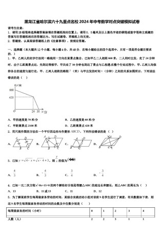 黑龙江省哈尔滨六十九重点名校2024年中考数学对点突破模拟试卷含解析.doc