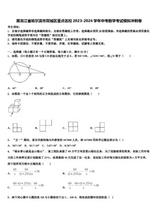 黑龙江省哈尔滨市双城区重点名校2023-2024学年中考数学考试模拟冲刺卷含解析.doc