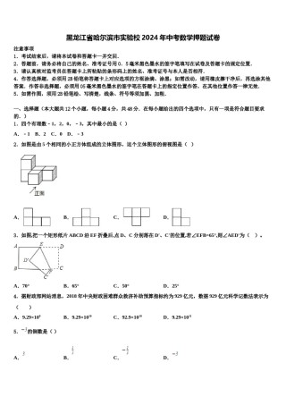 黑龙江省哈尔滨市实验校2024年中考数学押题试卷含解析.doc