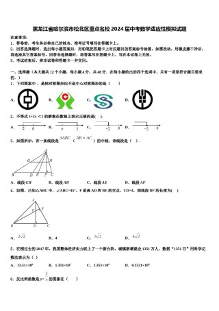 黑龙江省哈尔滨市松北区重点名校2024届中考数学适应性模拟试题含解析.doc