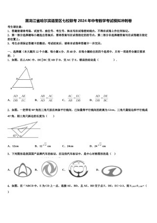 黑龙江省哈尔滨道里区七校联考2024年中考数学考试模拟冲刺卷含解析.doc