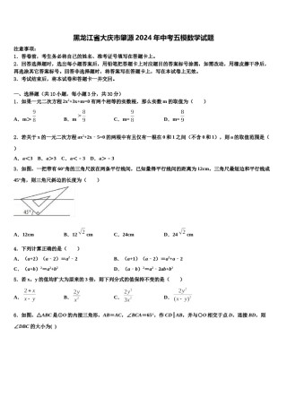 黑龙江省大庆市肇源2024年中考五模数学试题含解析.doc