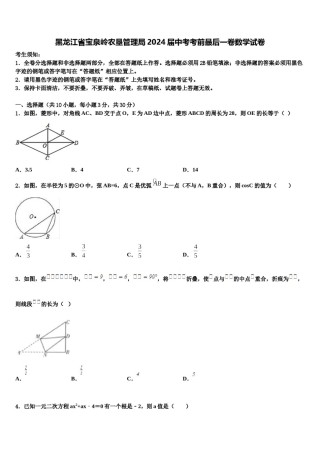 黑龙江省宝泉岭农垦管理局2024届中考考前最后一卷数学试卷含解析.doc