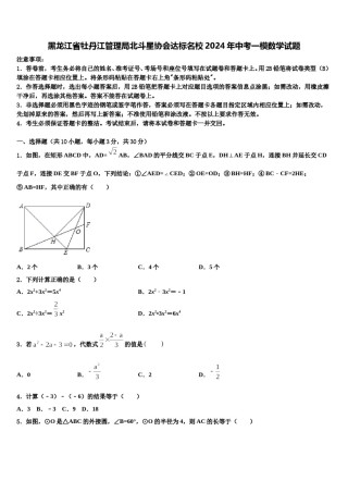 黑龙江省牡丹江管理局北斗星协会达标名校2024年中考一模数学试题含解析.doc