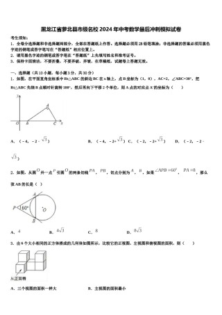 黑龙江省萝北县市级名校2024年中考数学最后冲刺模拟试卷含解析.doc