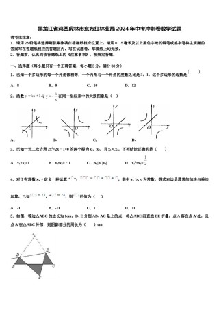 黑龙江省鸡西虎林市东方红林业局2024年中考冲刺卷数学试题含解析.doc