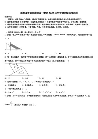黑龙江省鹤岗市绥滨一中学2024年中考数学模拟预测题含解析.doc