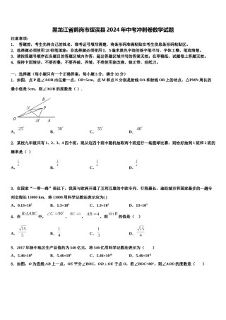 黑龙江省鹤岗市绥滨县2024年中考冲刺卷数学试题含解析.doc
