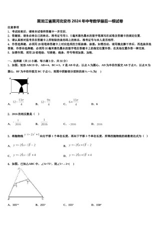 黑龙江省黑河北安市2024年中考数学最后一模试卷含解析.doc