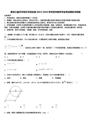 黑龙江省齐齐哈尔市克东县2023-2024学年初中数学毕业考试模拟冲刺卷含解析.doc
