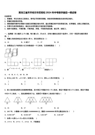 黑龙江省齐齐哈尔市实验校2024年中考数学最后一模试卷含解析.doc