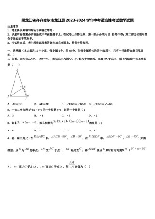 黑龙江省齐齐哈尔市龙江县2023-2024学年中考适应性考试数学试题含解析.doc