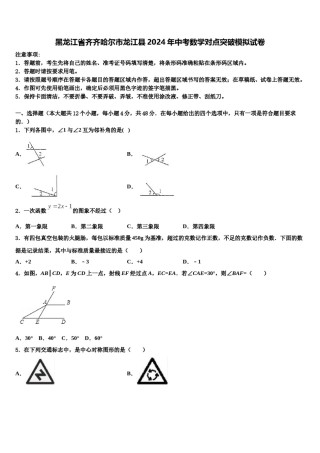 黑龙江省齐齐哈尔市龙江县2024年中考数学对点突破模拟试卷含解析.doc