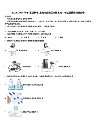 2023-2024学年[区级联考]上海市青浦区市级名校中考试题猜想物理试卷含解析.doc