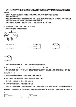 2023-2024学年上海市浦东新区第三教育署达标名校中考物理对点突破模拟试卷含解析.doc