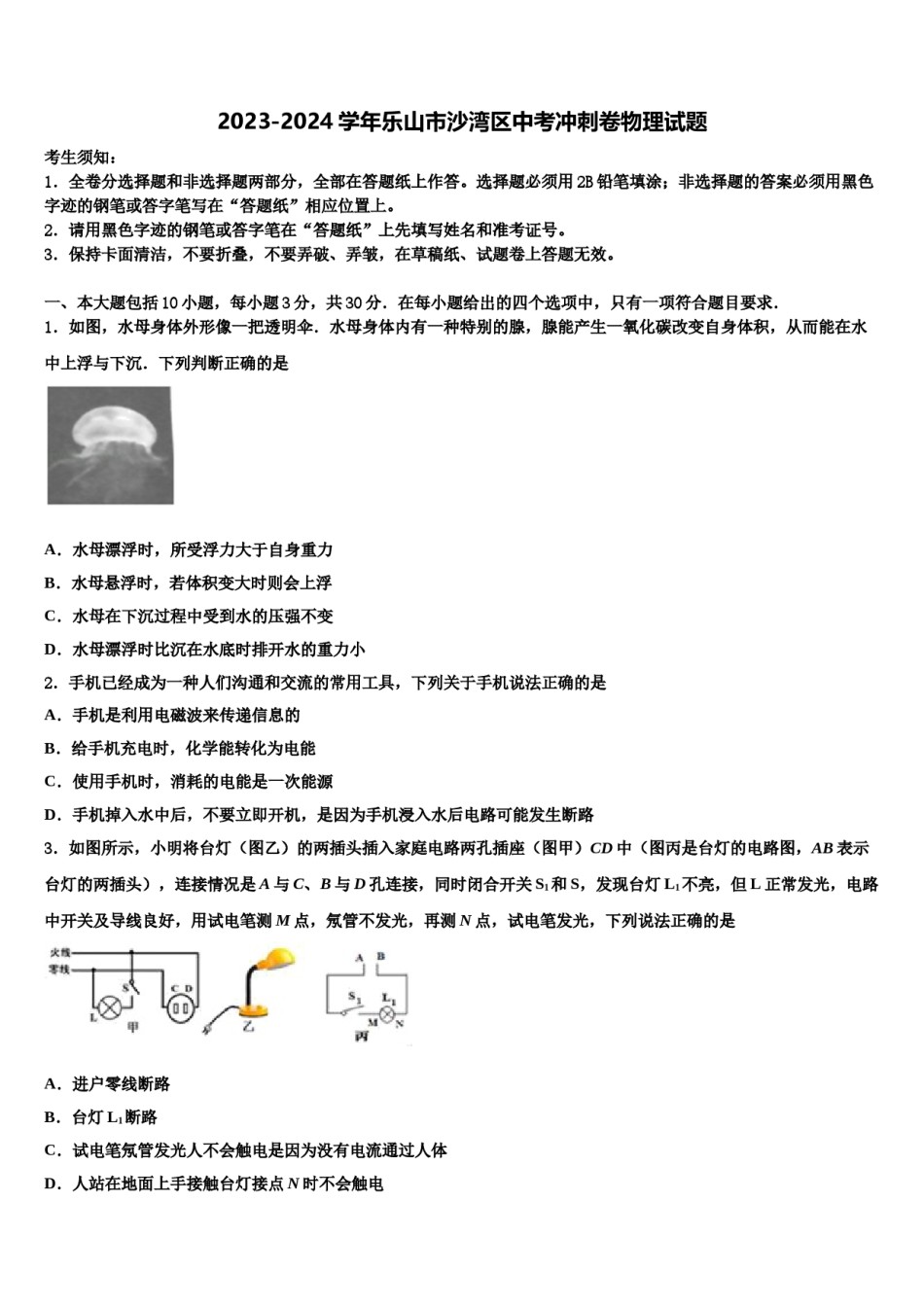 2023-2024学年乐山市沙湾区中考冲刺卷物理试题含解析.doc_第1页