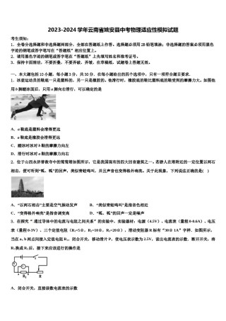 2023-2024学年云南省姚安县中考物理适应性模拟试题含解析.doc