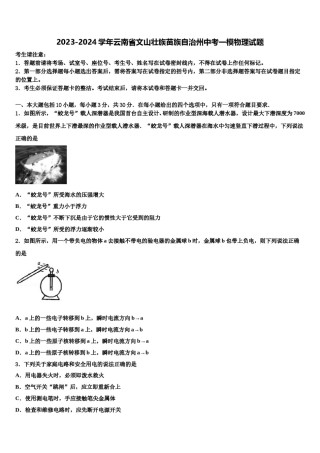 2023-2024学年云南省文山壮族苗族自治州中考一模物理试题含解析.doc
