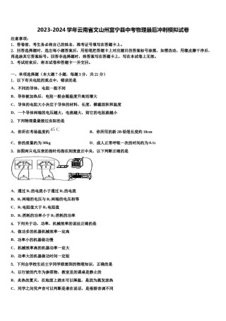 2023-2024学年云南省文山州富宁县中考物理最后冲刺模拟试卷含解析.doc