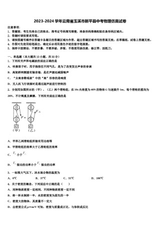 2023-2024学年云南省玉溪市新平县中考物理仿真试卷含解析.doc