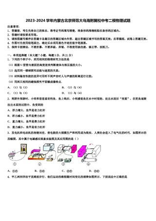 2023-2024学年内蒙古北京师范大乌海附属校中考二模物理试题含解析.doc