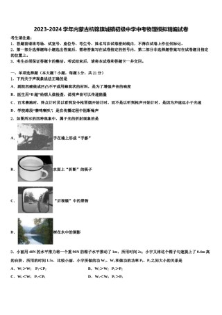 2023-2024学年内蒙古杭锦旗城镇初级中学中考物理模拟精编试卷含解析.doc