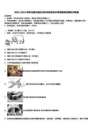 2023-2024学年内蒙古海拉尔区市级名校中考物理考试模拟冲刺卷含解析.doc