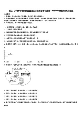 2023-2024学年内蒙古自治区赤峰市翁牛特旗第一中学中考物理模拟预测题含解析.doc
