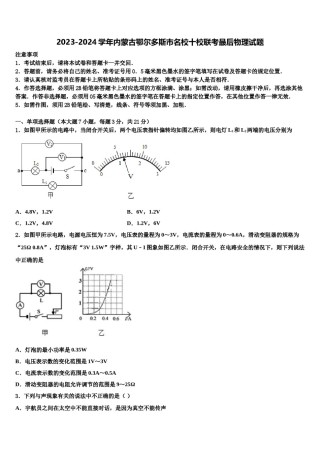 2023-2024学年内蒙古鄂尔多斯市名校十校联考最后物理试题含解析.doc