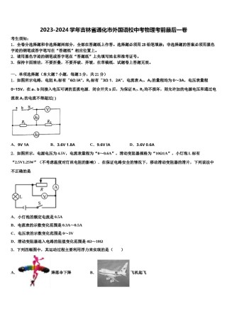 2023-2024学年吉林省通化市外国语校中考物理考前最后一卷含解析.doc