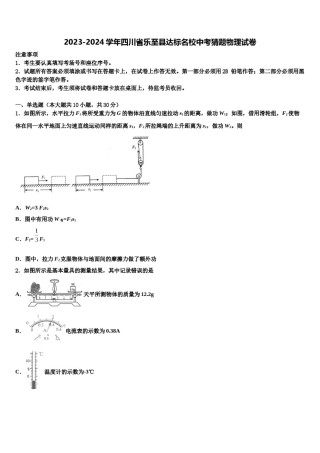 2023-2024学年四川省乐至县达标名校中考猜题物理试卷含解析.doc