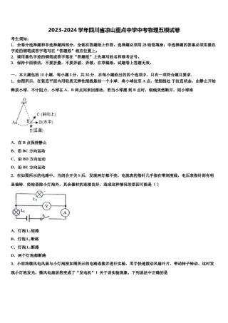 2023-2024学年四川省凉山重点中学中考物理五模试卷含解析.doc