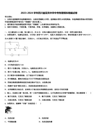 2023-2024学年四川省宜宾中学中考物理模拟精编试卷含解析.doc