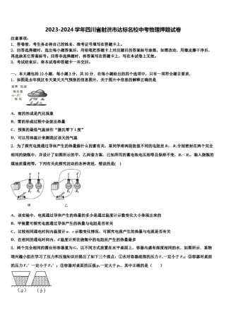2023-2024学年四川省射洪市达标名校中考物理押题试卷含解析.doc