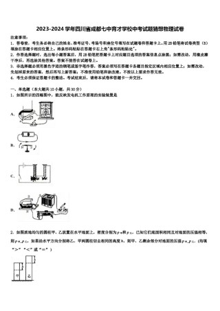 2023-2024学年四川省成都七中育才学校中考试题猜想物理试卷含解析.doc