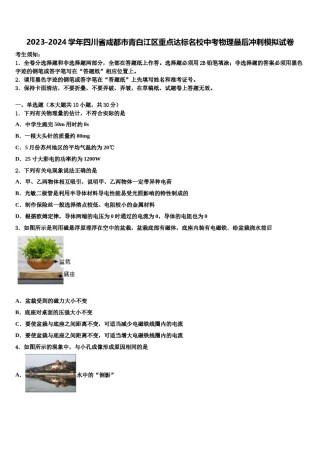 2023-2024学年四川省成都市青白江区重点达标名校中考物理最后冲刺模拟试卷含解析.doc