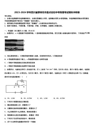 2023-2024学年四川省攀枝花市重点名校中考物理考试模拟冲刺卷含解析.doc